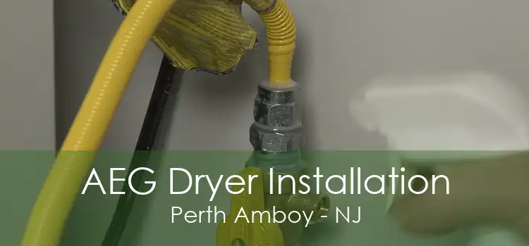 AEG Dryer Installation Perth Amboy - NJ