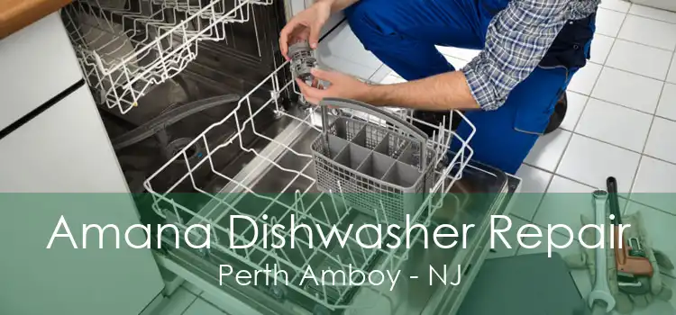 Amana Dishwasher Repair Perth Amboy - NJ