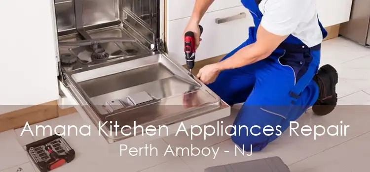 Amana Kitchen Appliances Repair Perth Amboy - NJ