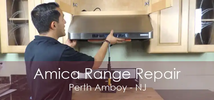 Amica Range Repair Perth Amboy - NJ