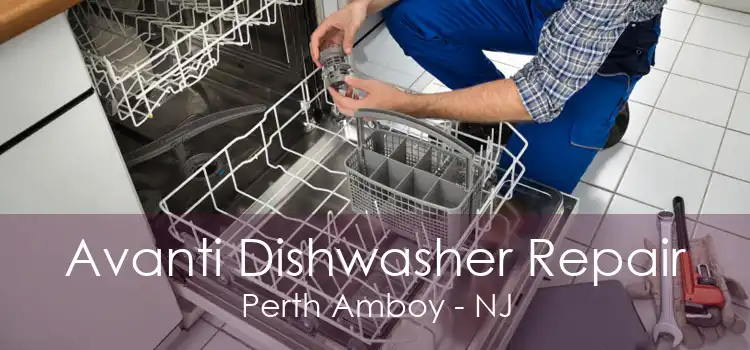 Avanti Dishwasher Repair Perth Amboy - NJ
