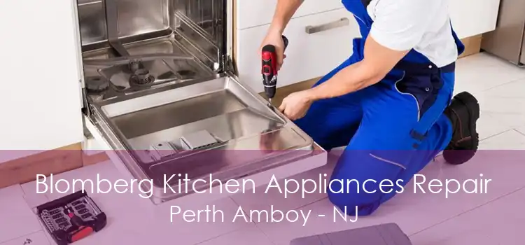 Blomberg Kitchen Appliances Repair Perth Amboy - NJ