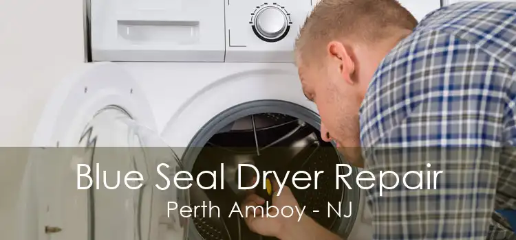 Blue Seal Dryer Repair Perth Amboy - NJ