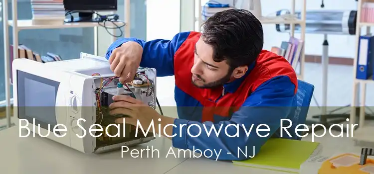 Blue Seal Microwave Repair Perth Amboy - NJ