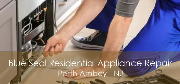 Blue Seal Residential Appliance Repair Perth Amboy - NJ