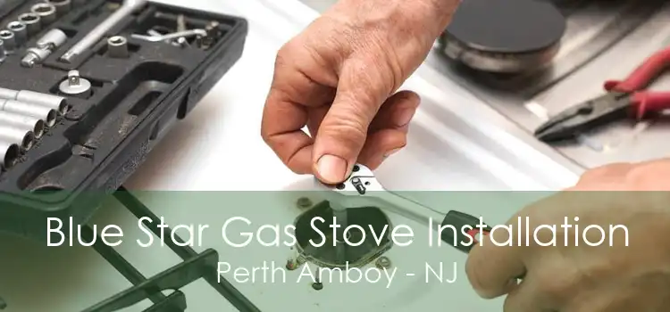 Blue Star Gas Stove Installation Perth Amboy - NJ
