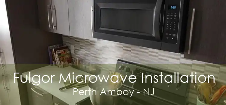 Fulgor Microwave Installation Perth Amboy - NJ