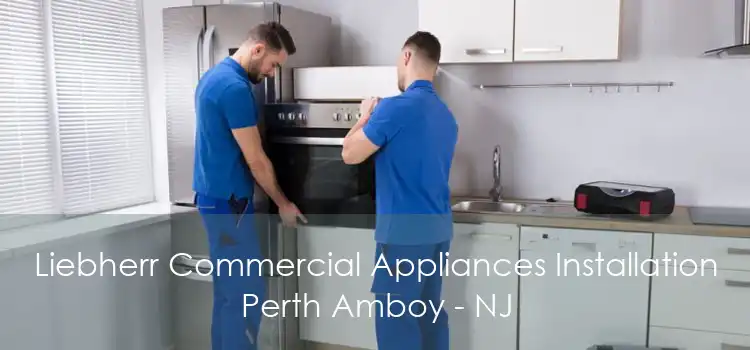 Liebherr Commercial Appliances Installation Perth Amboy - NJ