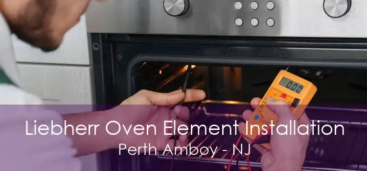 Liebherr Oven Element Installation Perth Amboy - NJ