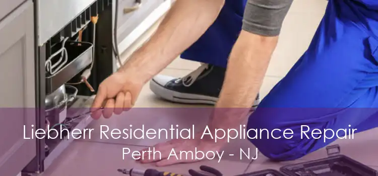 Liebherr Residential Appliance Repair Perth Amboy - NJ