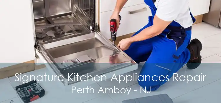 Signature Kitchen Appliances Repair Perth Amboy - NJ
