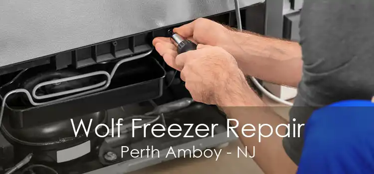 Wolf Freezer Repair Perth Amboy - NJ