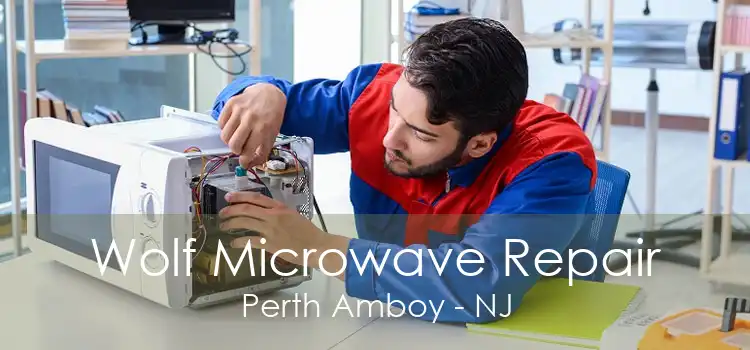 Wolf Microwave Repair Perth Amboy - NJ