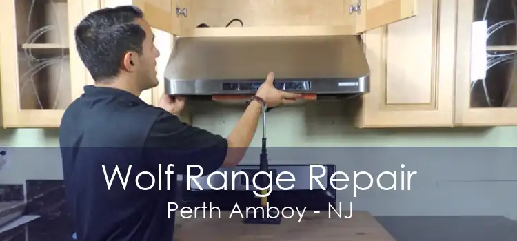 Wolf Range Repair Perth Amboy - NJ